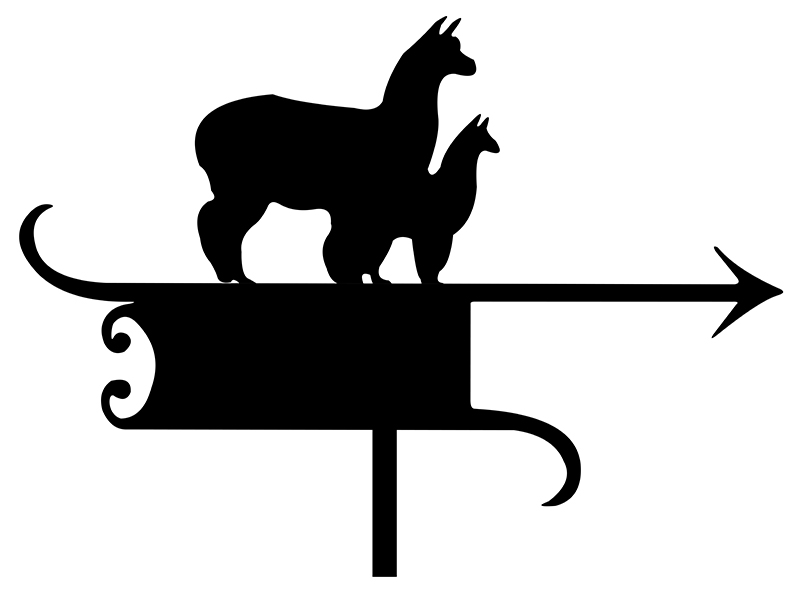 pl_fl_motiv_002