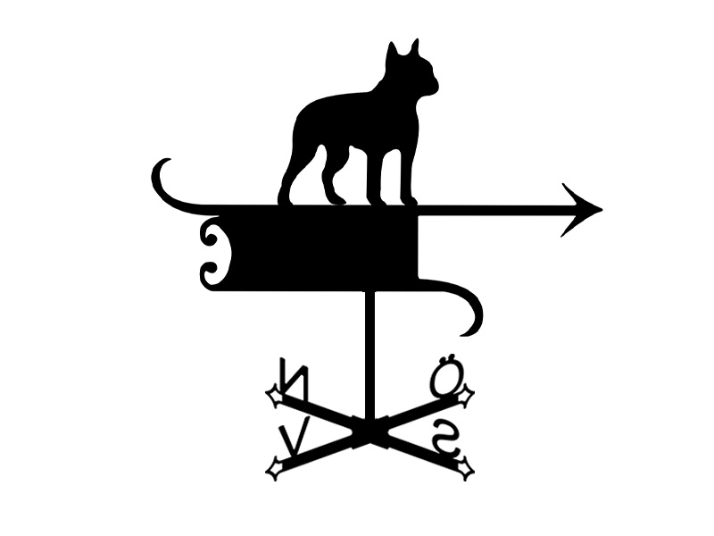 pl_fl_motiv_004