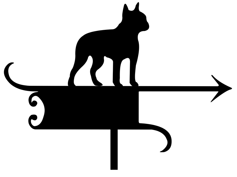 pl_fl_motiv_004