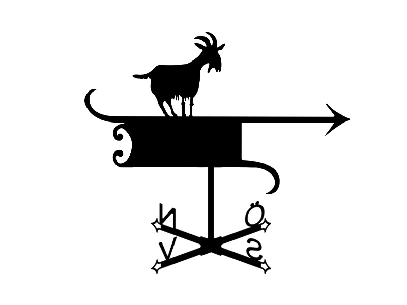 pl_fl_motiv_030