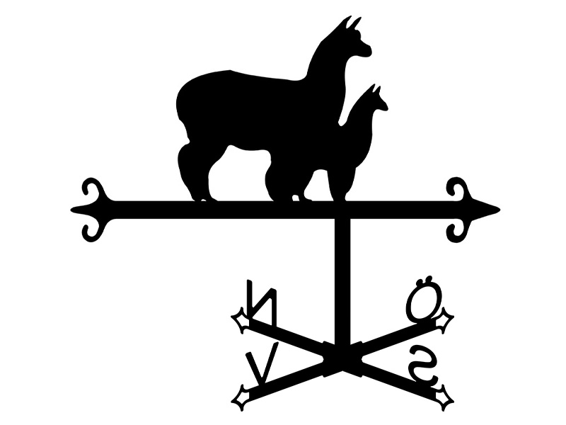 pl_fl_motiv_kompass_25