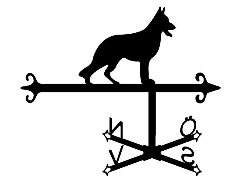 pl_fl_motiv_kompass_35