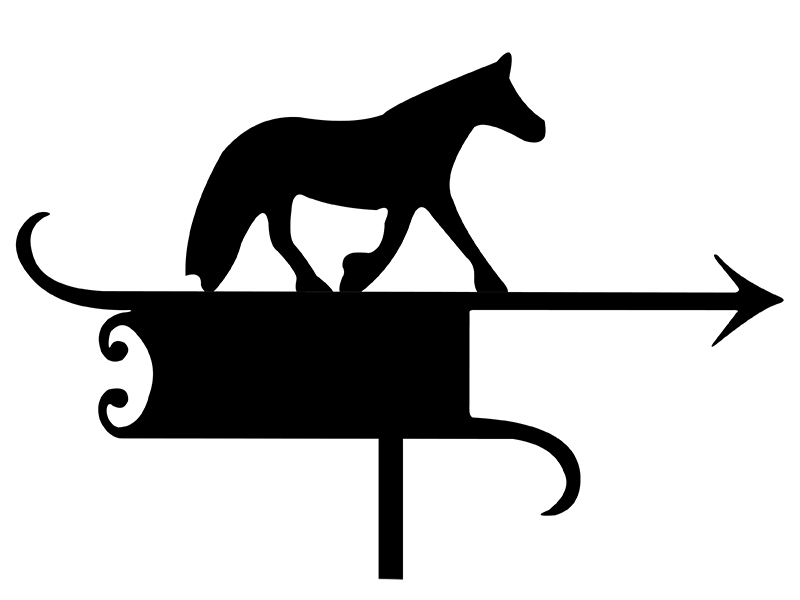 pl_fl_motiv_007