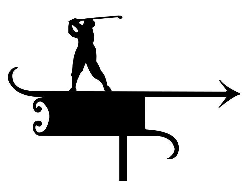 pl_fl_motiv_014