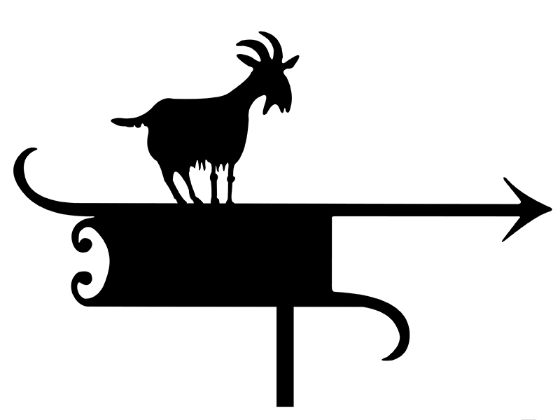 pl_fl_motiv_030