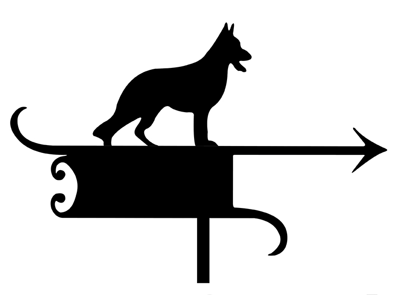 pl_fl_motiv_041